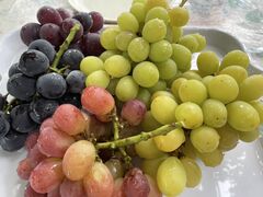 �䂫����̏h��t���[�c�_���ւ̓��e�ʐ^1