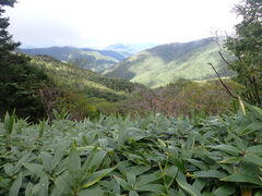 �}�C�a�n�n����̔����������ւ̓��e�ʐ^1