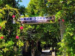 񂳂̔̃tNM؂ւ̓eʐ^1