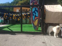 񂳂̃Oh@RIB Tripւ̓eʐ^1