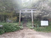 }CannȎRړoR̈̒̓eʐ^1