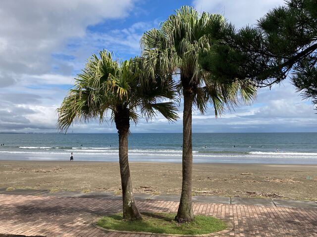 ���C������_���C������