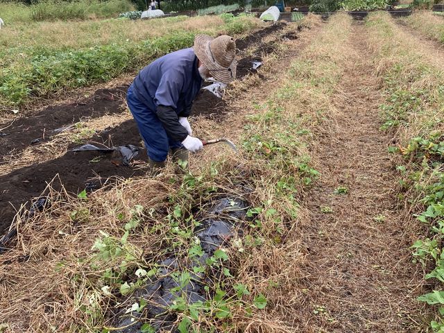 �L���~�n���ɂ��낢��Ȗ�؂�����A�������񂪈ē����Ă���܂��B_�����n���_��