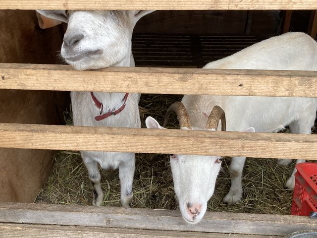 �€�̂�����肪�o���܂��B_�����n���_��