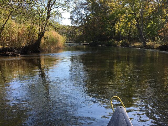 ���H��_���o�[���t�B�[���h