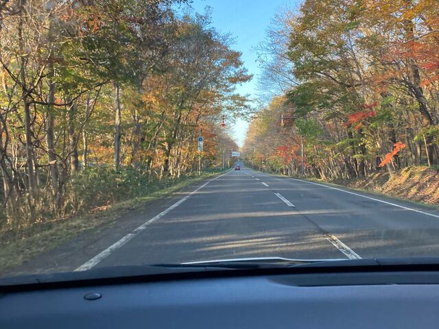 ��΂���̓��H�̍g�t_�x┌�