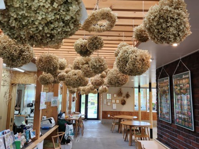 �k�ʓs�K�[�f��