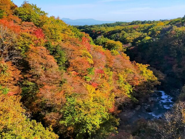 �勴����̌i��_����k�J