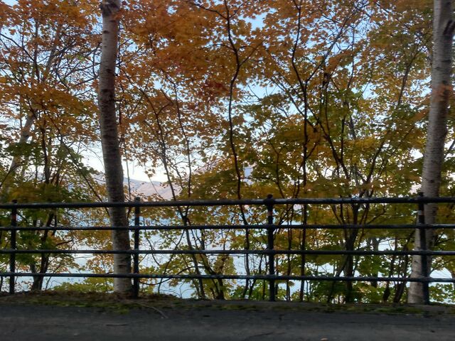 �Ύ����H�̍g�t_�x┌�