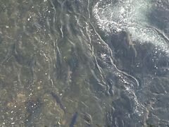 hotaru̓̉w T[p[N΂ւ̓eʐ^1