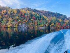 tissuẽOh@RIB Tripւ̓eʐ^1