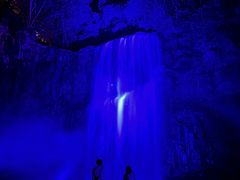 �䂢�ۂ񂳂�̍���ւ̓��e�ʐ^1