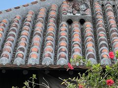 ��������񂳂�̒|�x���ւ̓��e�ʐ^1