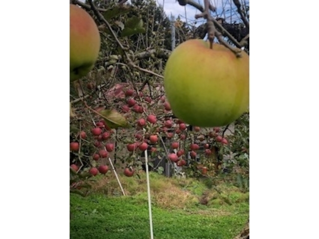 ��O�������A�����ӂ�_���_��