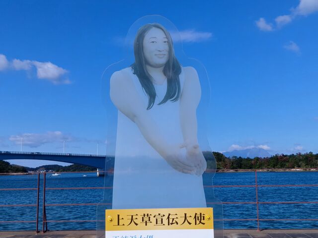 �V����`��g_���]���e���X�V��