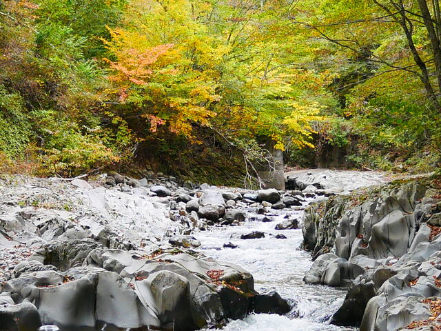 �k�J�̍g�t���n�܂�܂���_���Ð�k�J