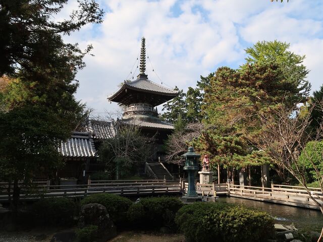 Ђł񂳂̗R@󓃂̓eʐ^1