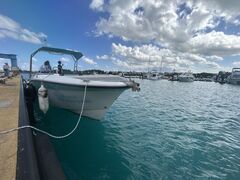 ɂ̋{ÓpZ[O all good marine 385ւ̓eʐ^1