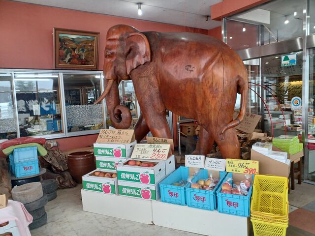 ����������Ɓ@�傫�ȃi�E�}���]�E�̖ؒ��肪 �����B_���P���Y�Z���^�[