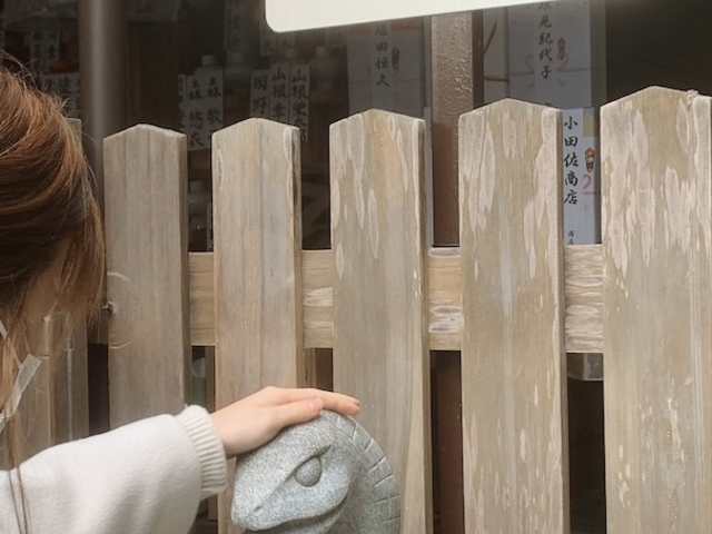 �{�a�̔����΂̍��ւт���_��L�_��