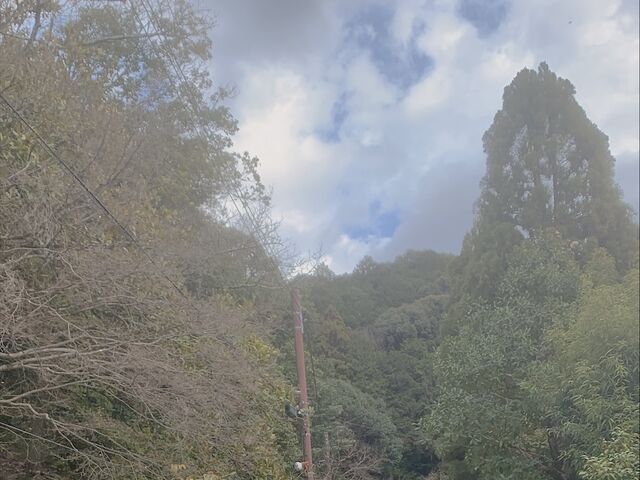 �������s��_��L�_��