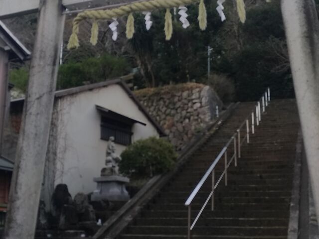 �����ƊK�i�̎Q��_�V��_��