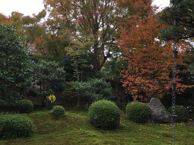 �͎R���̒뉀_�V���@