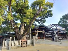 �����ڂ�����̐ΐؙ����_�Ђւ̓��e�ʐ^1