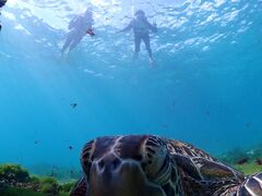 Ƃ̋{blue܂ق΂ւ̓eʐ^1