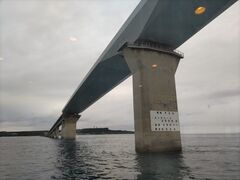 ܂̃xCN[YE{Ó@uւ̓eʐ^1