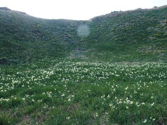 takaboo����̒ܖ؍�̐���ւ̓��e�ʐ^1