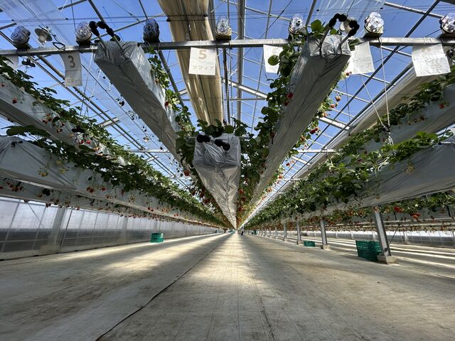 �n�E�X��_�t�@�[������� �É͓X