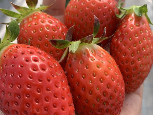 �Â��Ă��������^���ԂȂ������������ς�_䕉����߃n�E�X