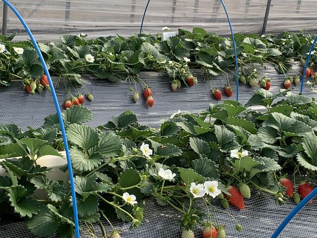 �n�E�X���͂ƂĂ��g�������ꂢ�ł�_䕉����߃n�E�X