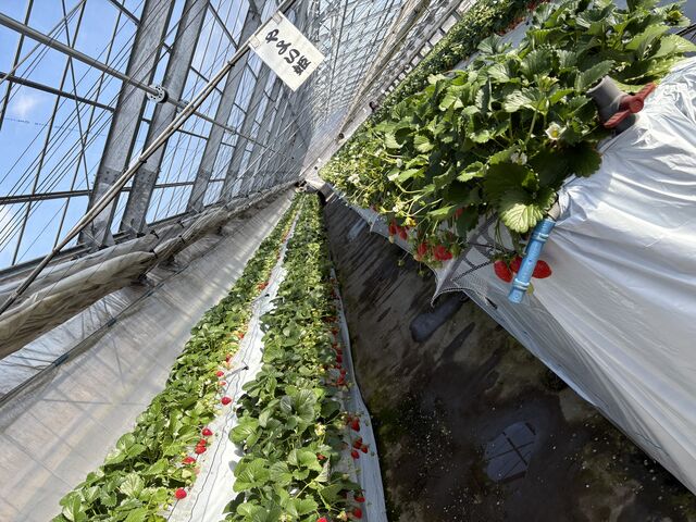 ��悢�P�A�D�݂ł���!_������������