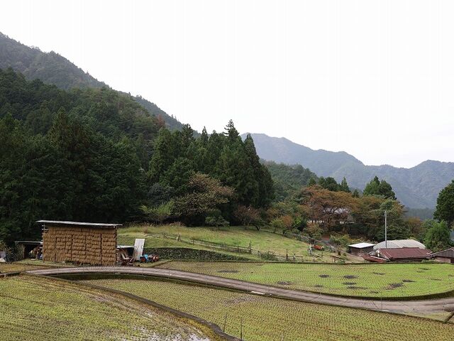 Yanwenli̍vԐM̓̕eʐ^3