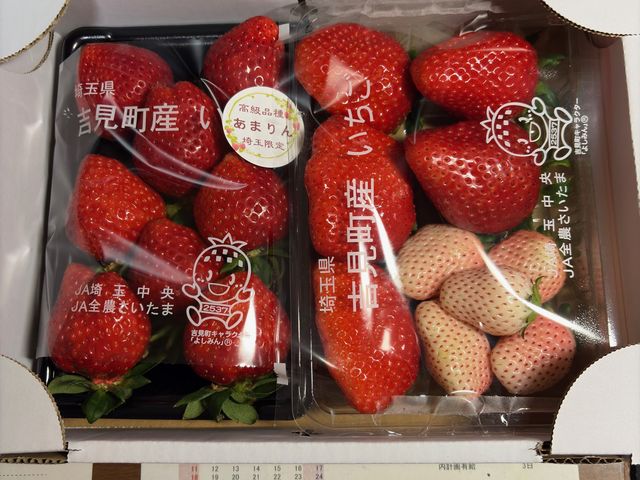 ���O�\��̔��C�`�S
�i�̔��͗\��̂݁j_�X�g���x���[�G���W�F��