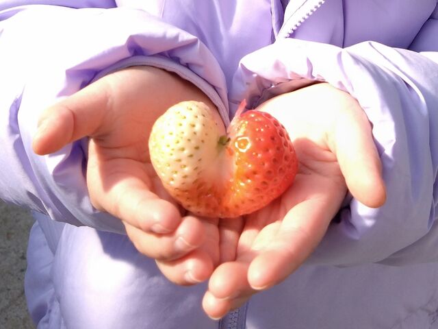 �q�ǂ����������n�[�g�^�̃C�`�S��_�E�L�E�L����������ό��_��