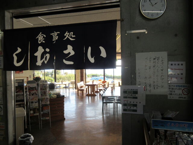 ������񂳂�̂��������̗��̓��e�ʐ^3