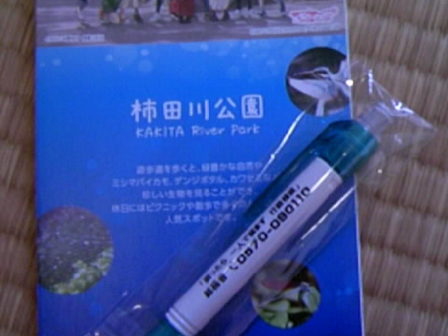 uCuICXg̃ptbgƐzz̃V[y_򓪏