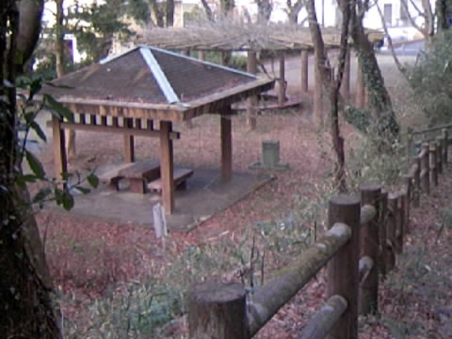 �����̓���_�{��R����