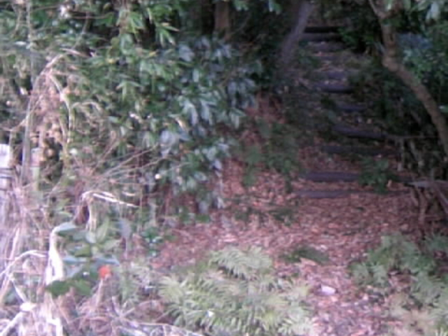 ���Ɨ��̓o�R������_�{��R����