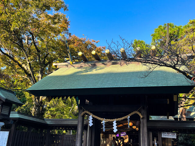 �l�����Ȃ��Ƃ��ɐÂ��ɂ��w�肷��̂������߂ł��B_�D����_�{