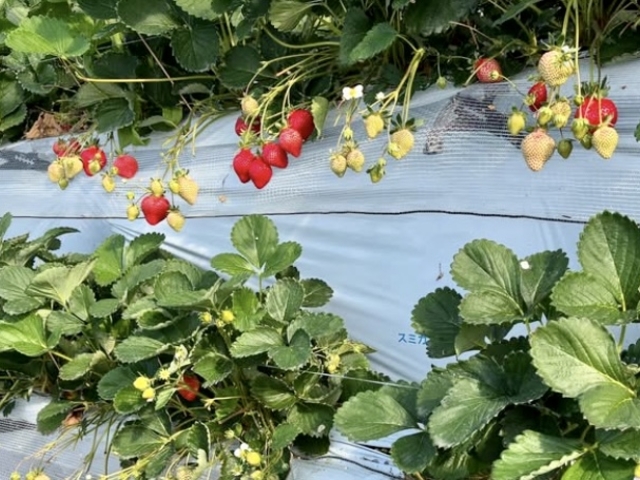 ��������������_�����C�`�S��