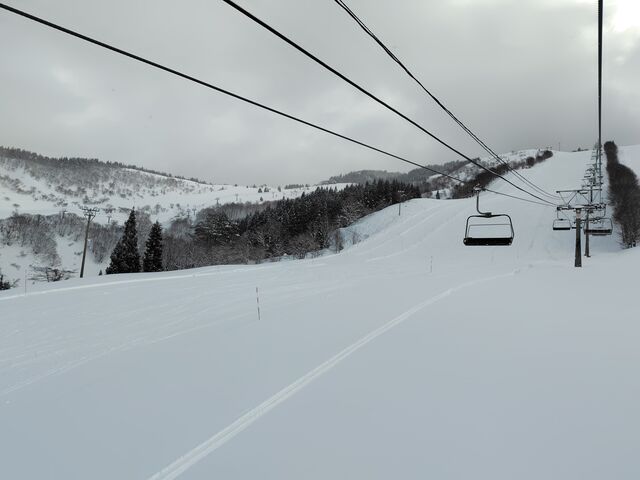 2���̃Q�����f��_�W���l�X�I��