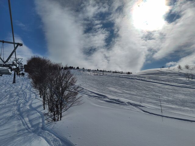 2���̃Q�����f��_�W���l�X�I��