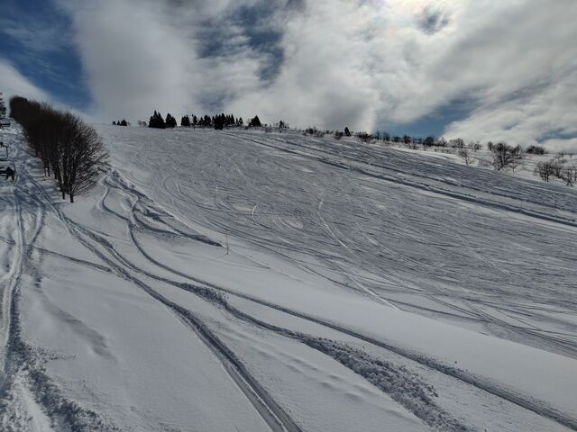 2���̃Q�����f��_�W���l�X�I��