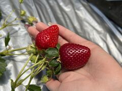 black3254̂̂ւ̓eʐ^1