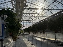 uncle.onloň(䂢)t@[ւ̓eʐ^1