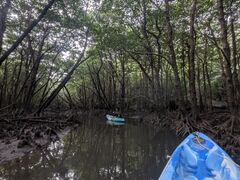 悵ڂ񂳂̃IIΊ_GRcA[ւ̓eʐ^2